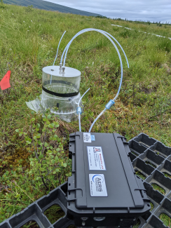 Flux chamber at the Healy NEON site