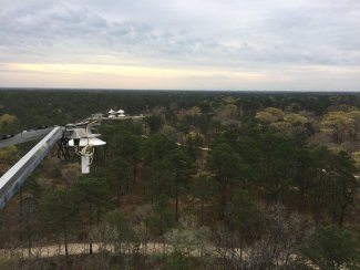 Top of NEON's JERC tower