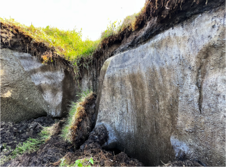 How Permanent is Permafrost? AI Might Help Us Find the Answer