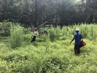 students doing turtle study