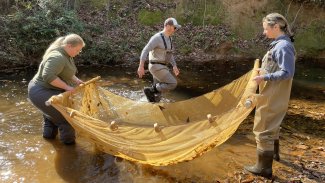Carolina Wildlands Foundation fish study