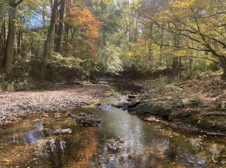 Thompson Creek in autumn