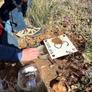 Field work with a beetle pitfall trap