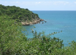 Puerto Rico coastline in Domain 04, Atlantic Neotropical 