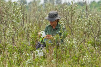 D09 field technician working in the field