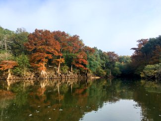 FLNT river aquatic site in the fall