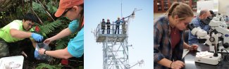 Collage of field technicians working the field 