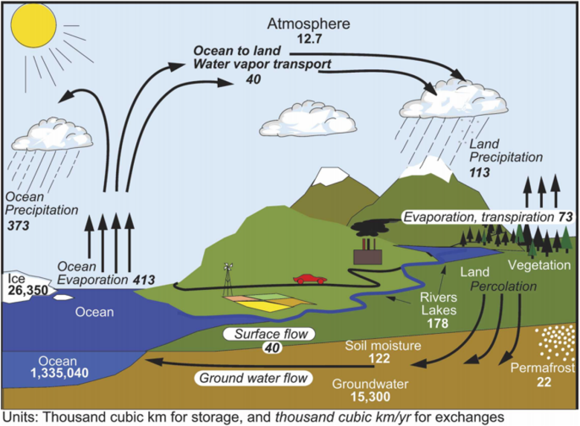 Where Does the Water Go? Partitioning Evaporation and Transpiration